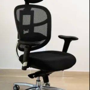 Ergonomics Chair