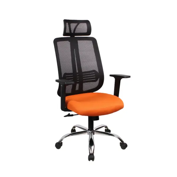 main-image-5
