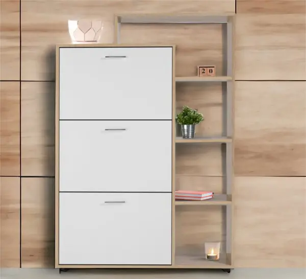 the-shoe-rack-has-three-flap-leaf-and-a-bookcase-furniture-vitrine-furniture-252034